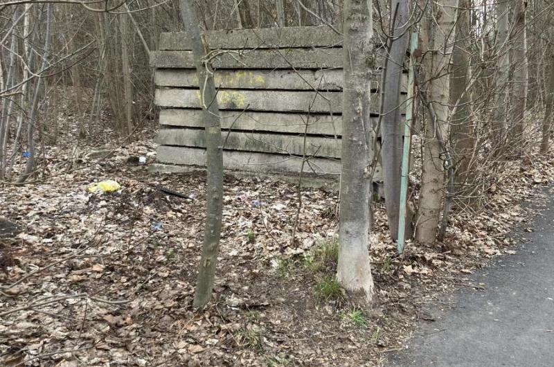 Cesta k Penny - Stará Kysibelská