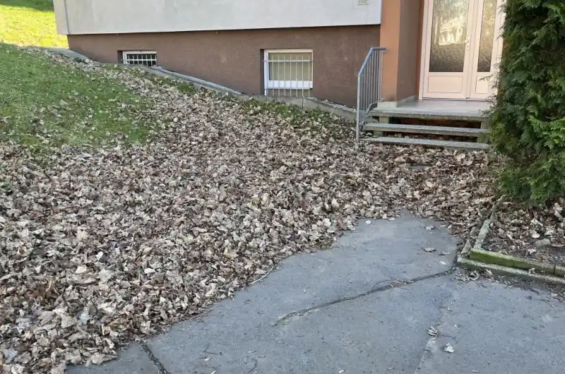 Východní strana domu