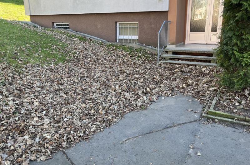 Východní strana domu