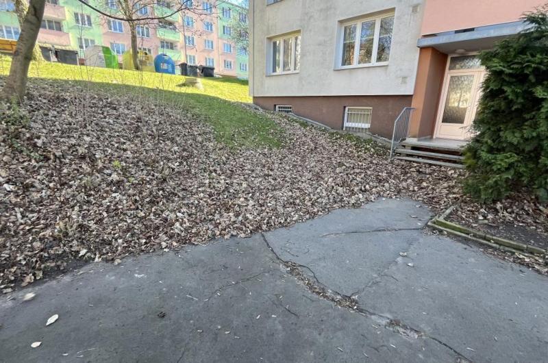 Východní strana domu