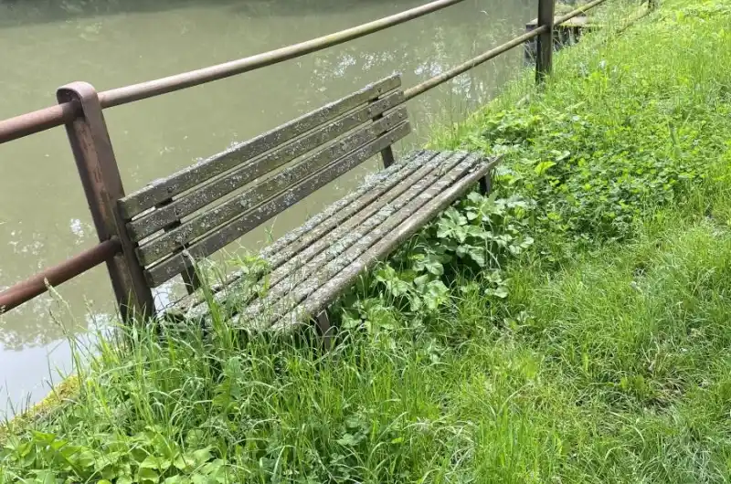 Lavičky