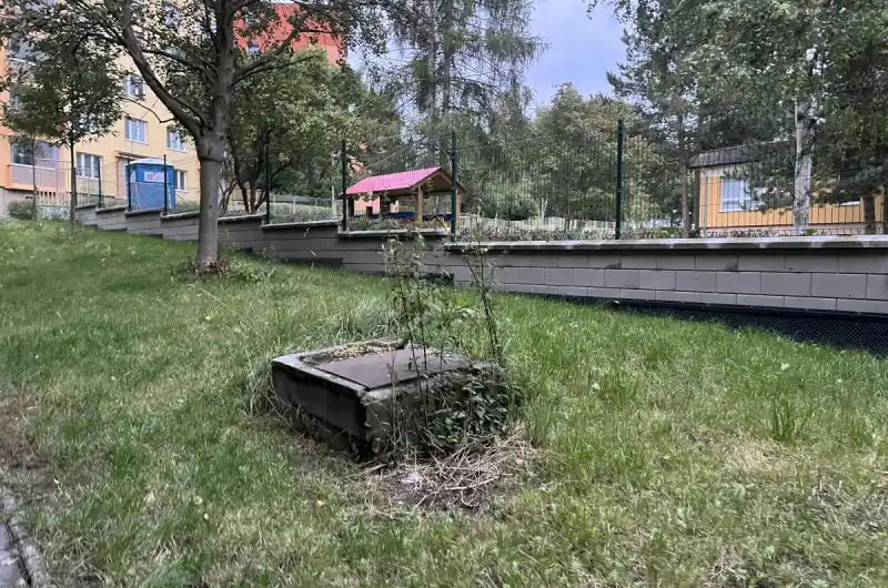 Nedopalky