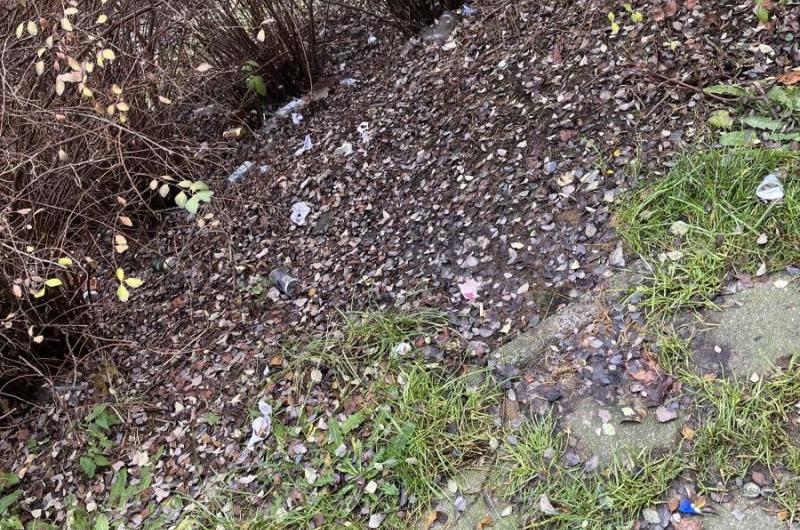 Keře plné odpadků