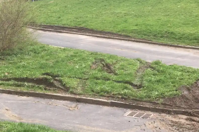 trávník a cesta 2