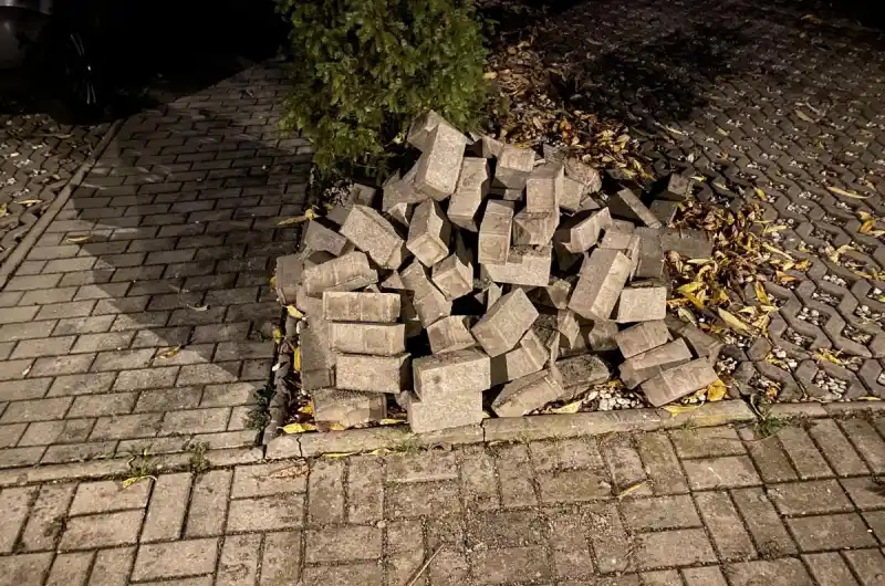 dlažba naházená v záhonech
