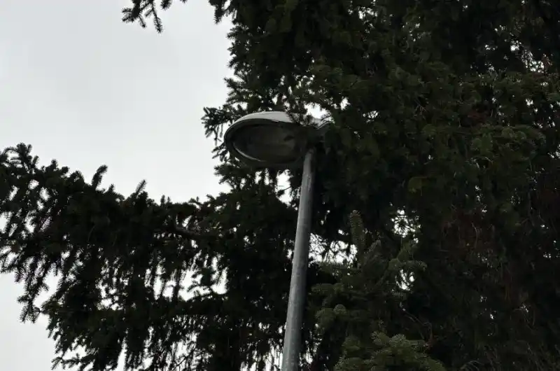 Lampa