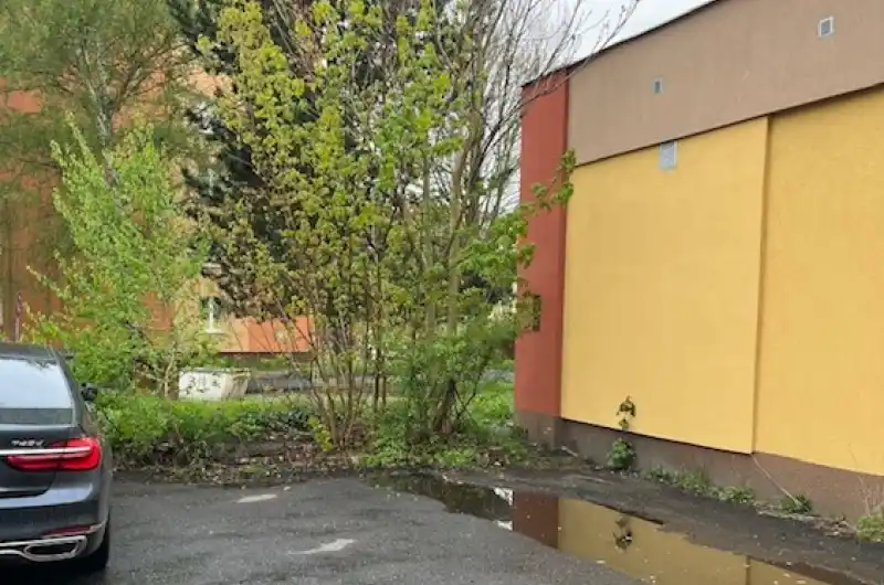 Kaluž a náletové dřeviny u polikliniky Železniční