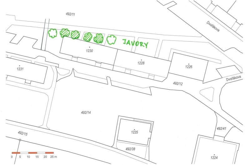 Katastr - poloha problematických javorů