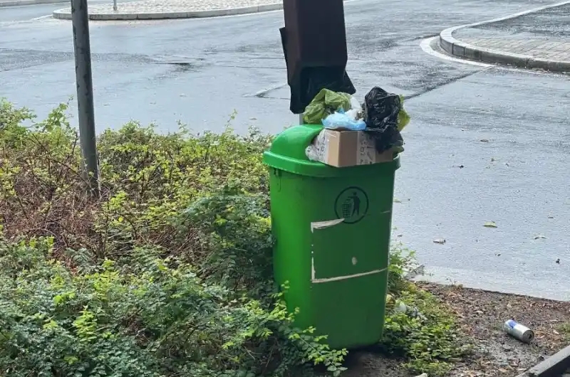 Přeplněný koš