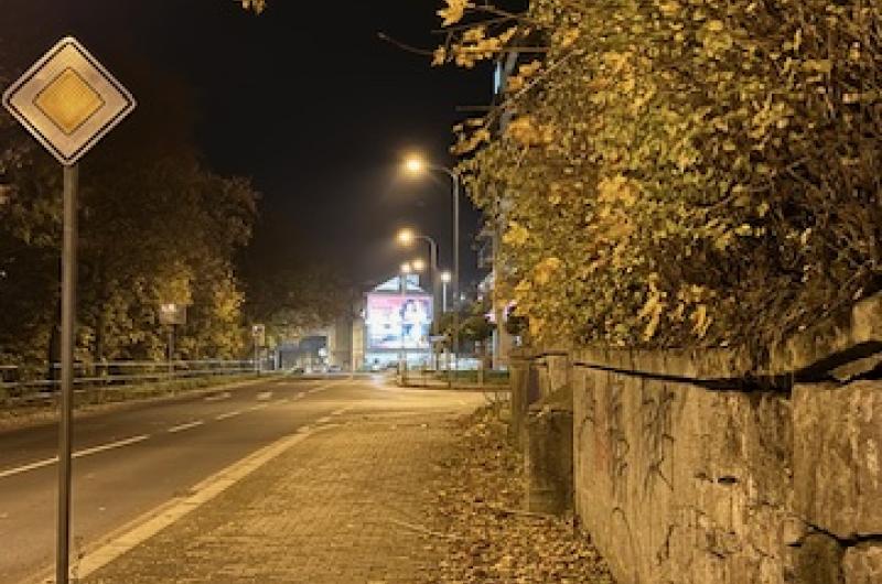 mattoniho - nepořadek 5 měsíců na ulici / křoví přerůstáa a překáží výhledu