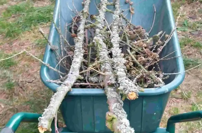 Obr. 2