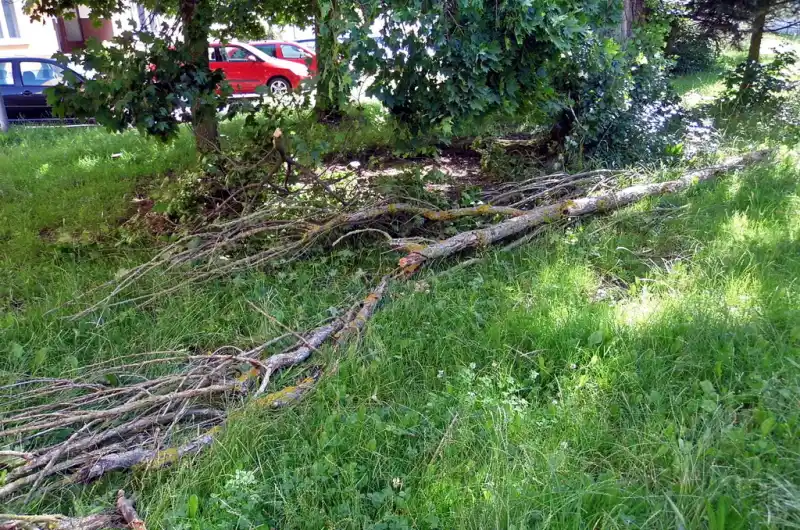Větev spadlá 17.7.2021