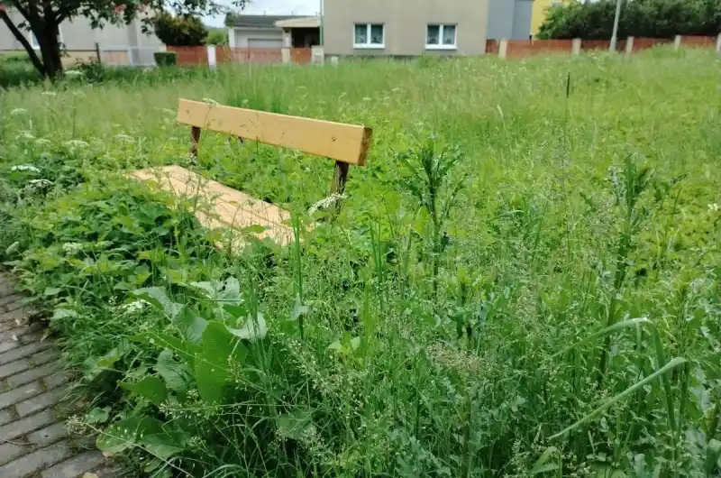 Parčík Počerny