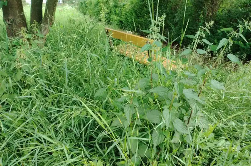 Park Počerny posezení.