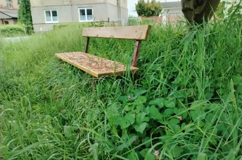 Posezení v parku