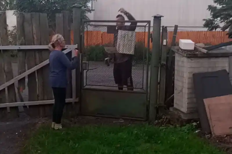 Osoba z garazi alias Maugli