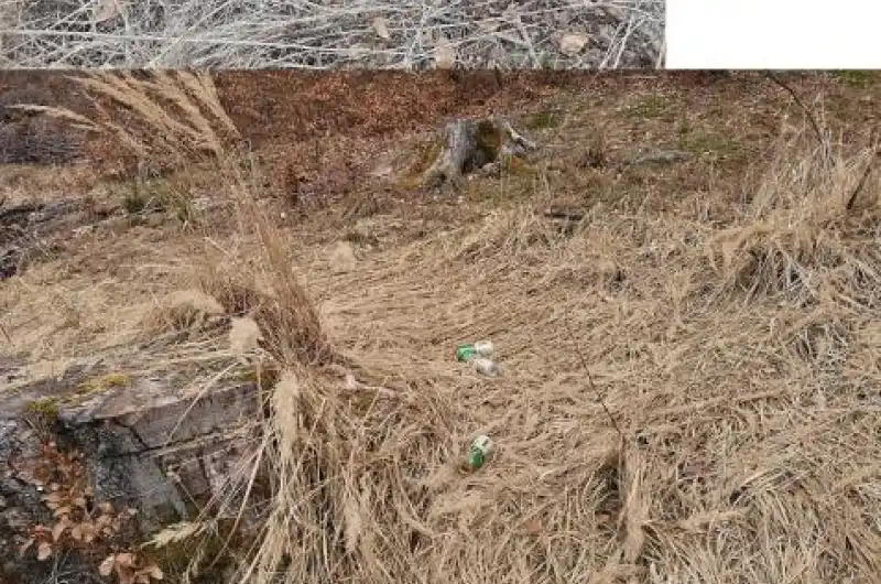 Skládka2