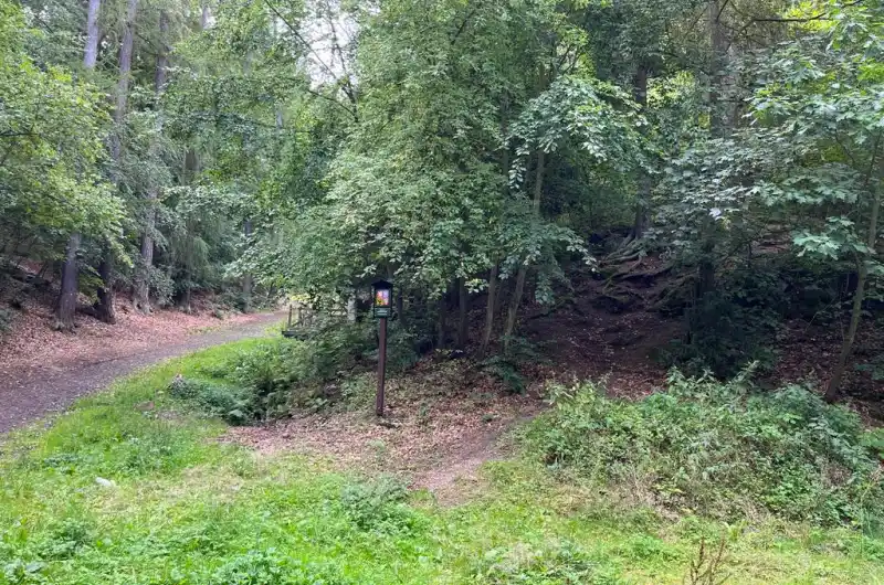 V kopci nad studánkou.