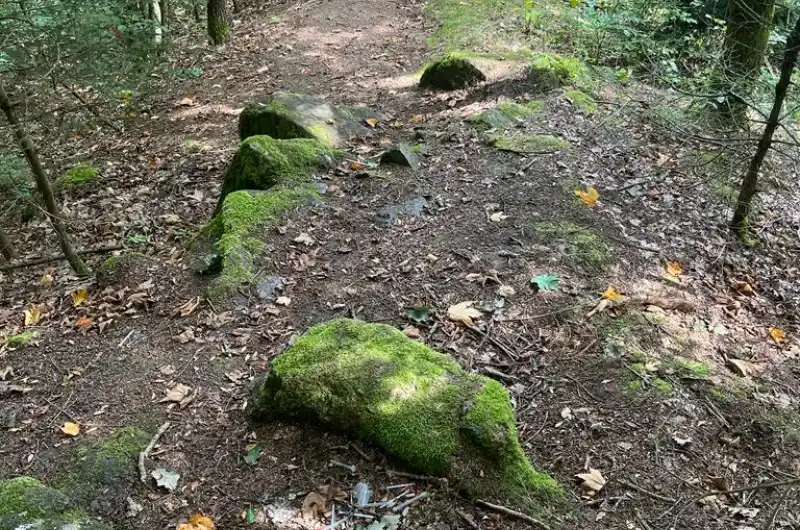 Cesta směrem dolů.