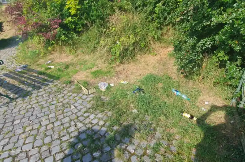 nepořádek  