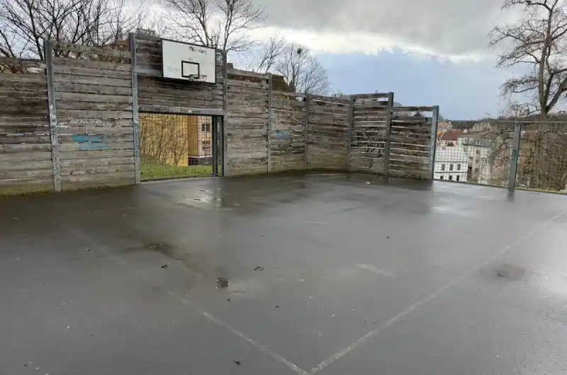 lajnování