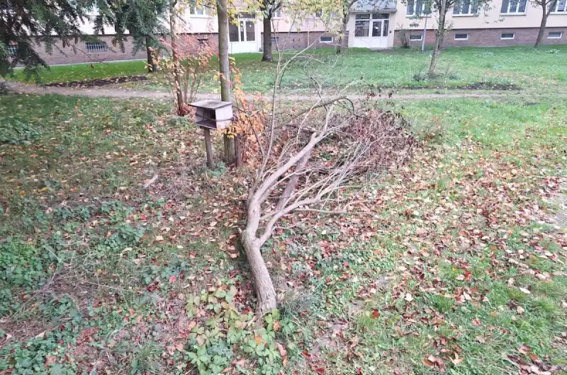Nepořádek za zástěnou ve vnitrobloku Karlovarská ulice