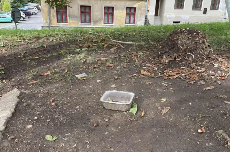 Neuklizené odpadky