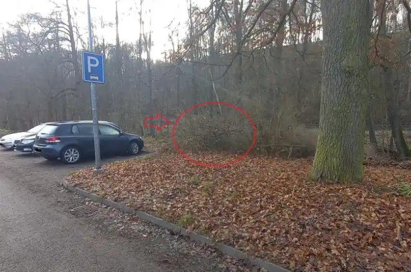 Parkoviště 