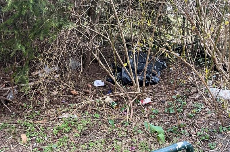 Odpad na roho ulice v houští a kolem něj.