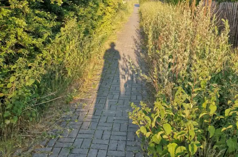 chodník 1