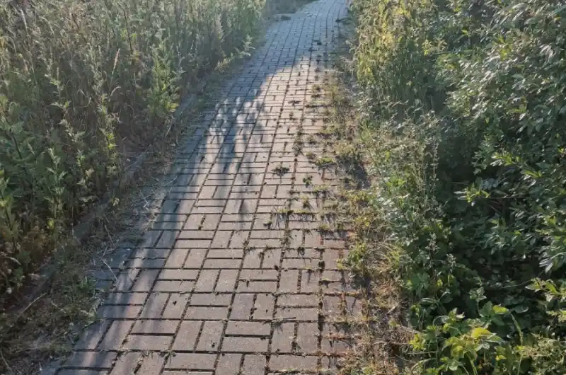 chodník