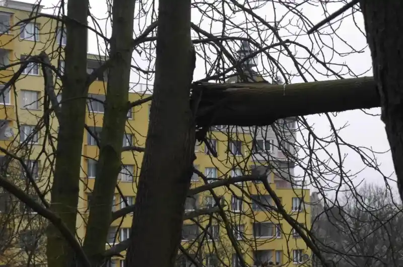 foto z chodníku