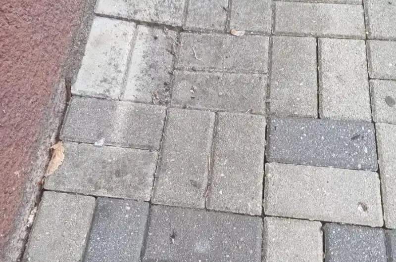 levá strana čelem k domu