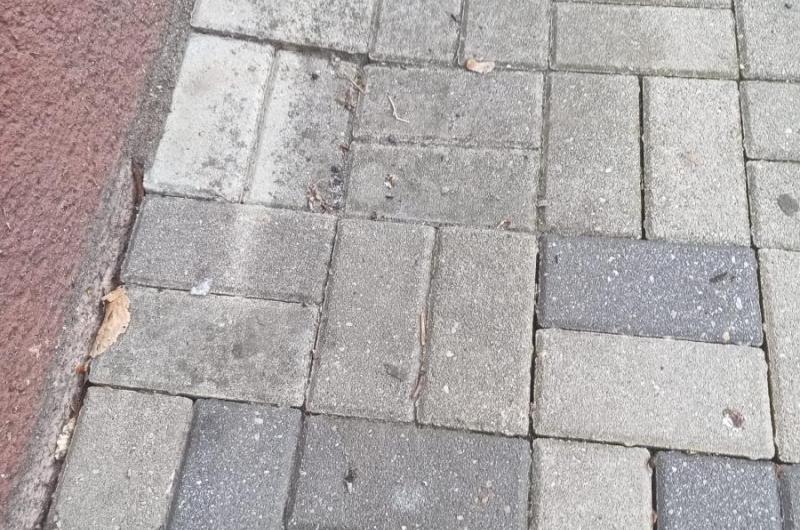 levá strana čelem k domu