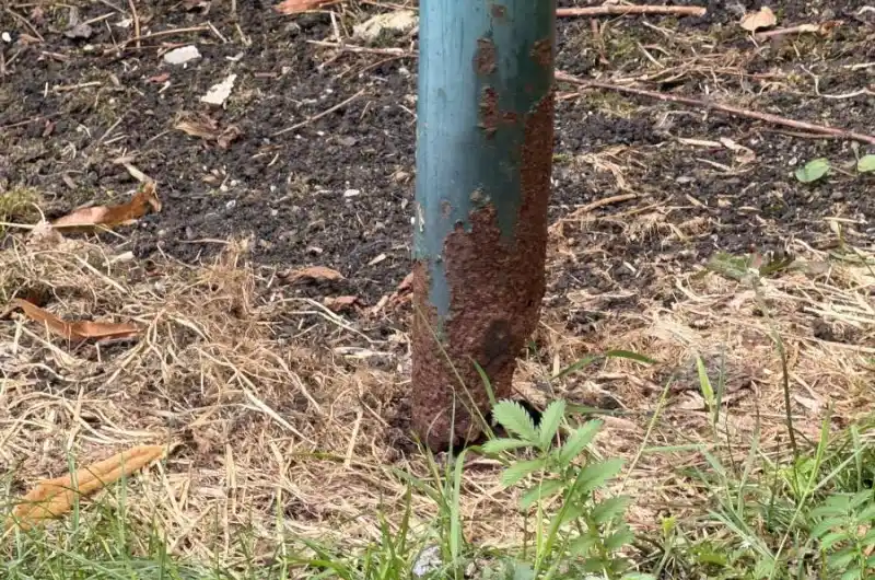 Koroze 