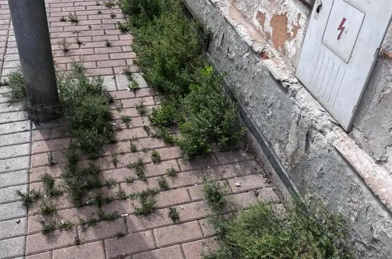 Městské chodníky na Sokolovské v absolutním nezájmu.