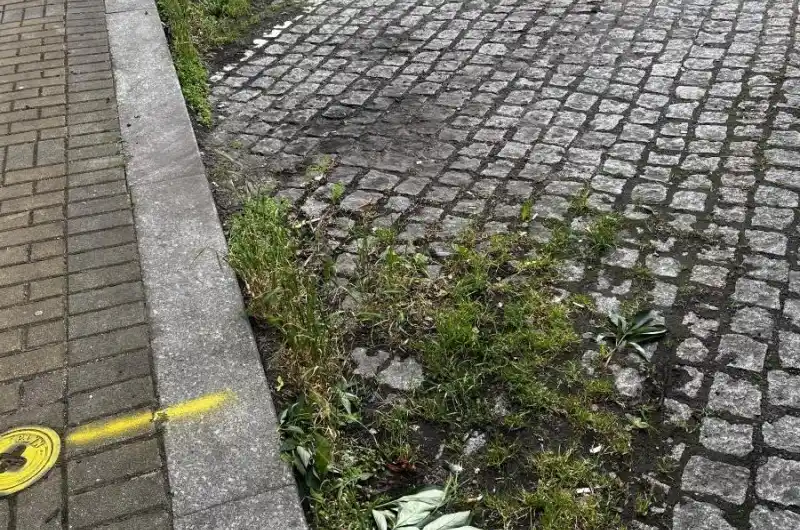 Několik let ignorování úklidu na pozemcích města.
