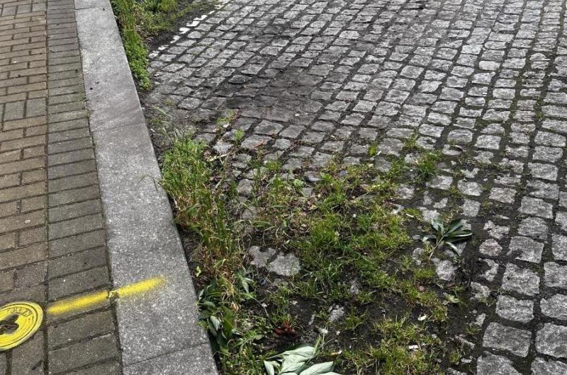 Několik let ignorování úklidu na pozemcích města.