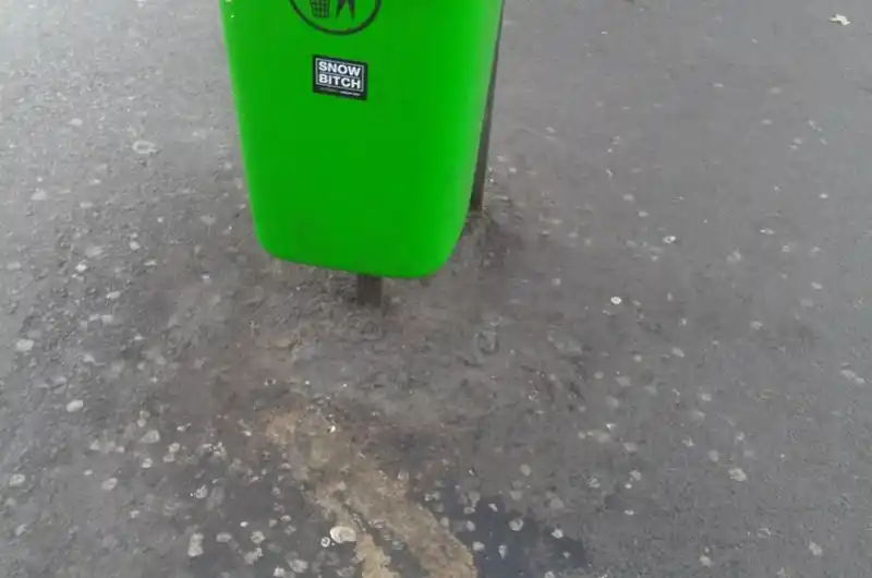 foto