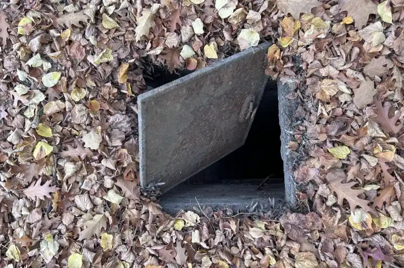 Víko