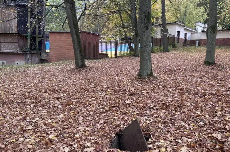 Zespodu letního kina 