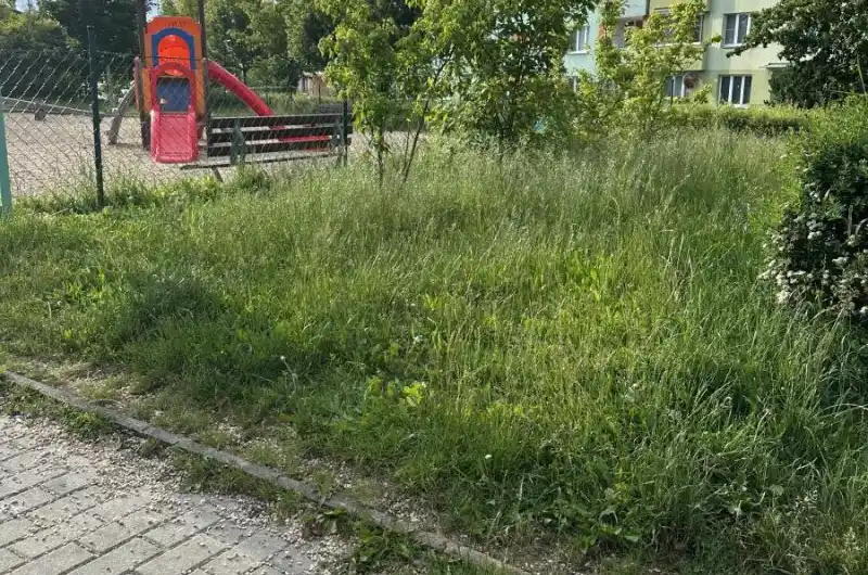 V trávě nám chodí malé děti a už máme několik hlášených klíšťat.