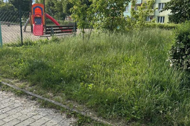V trávě nám chodí malé děti a už máme několik hlášených klíšťat.
