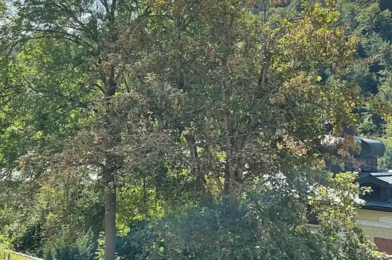 umístění