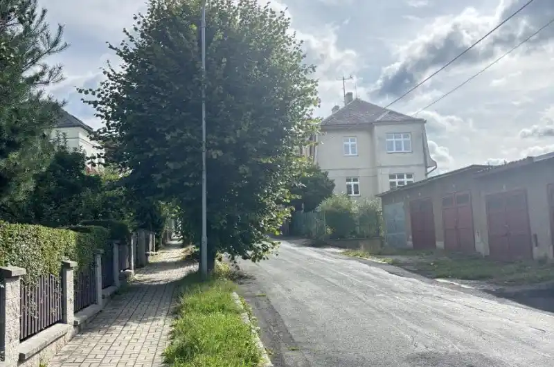 Vzrostlý strom 