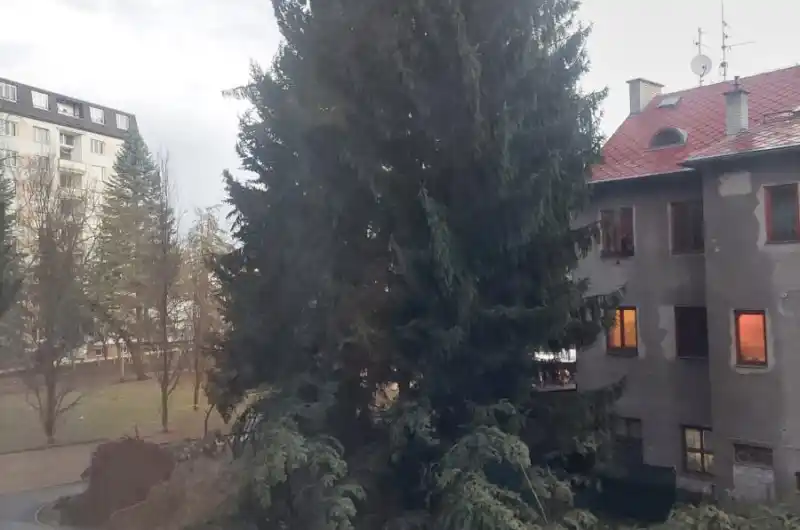 Foto1