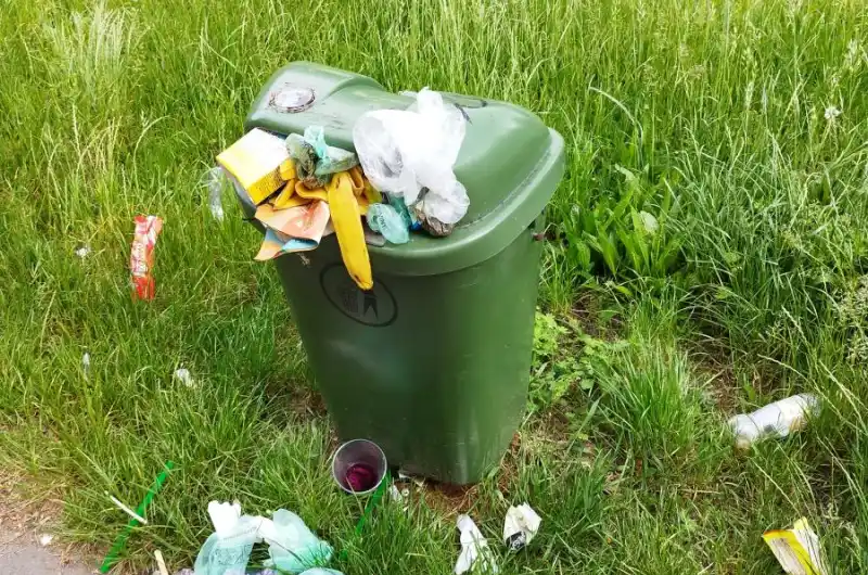 Plný koš 