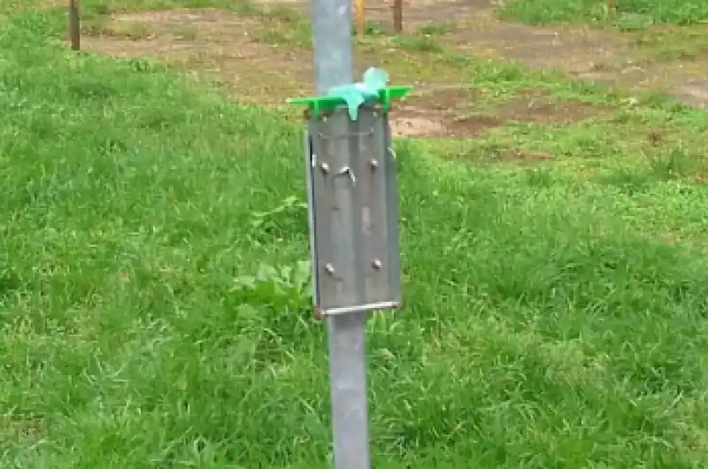 detail koše s pytlíky extrementů