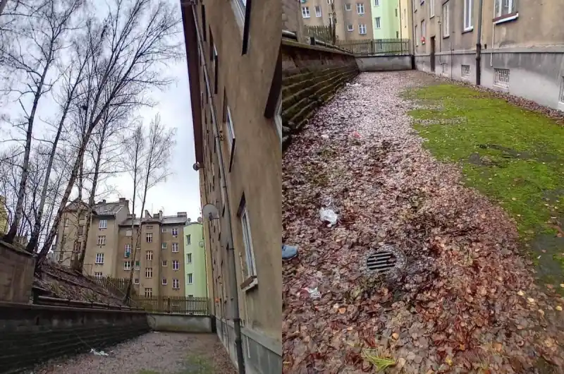 nahnute stromy, listi kanal dvur