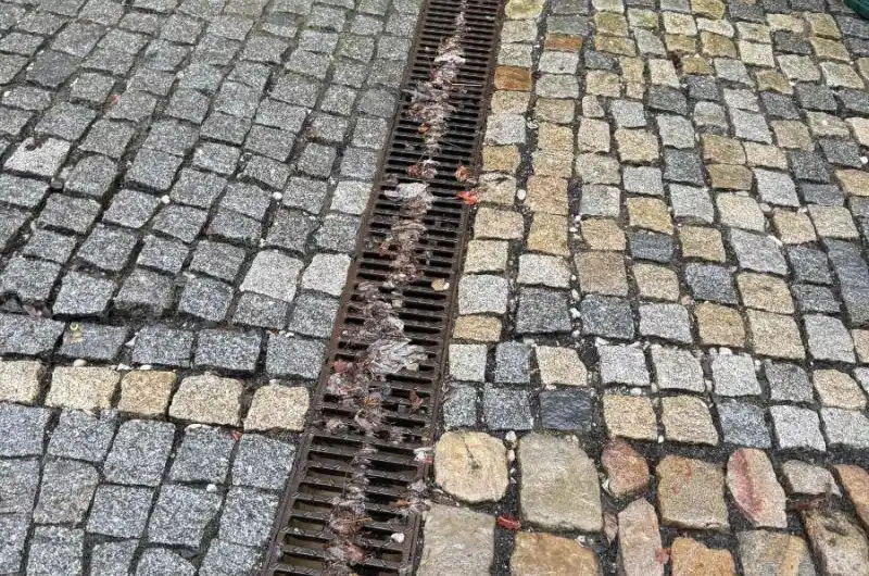 odtokový kanálek u restaurace U Křížovníků